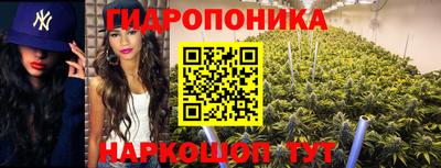 наркотики Ставрополь
