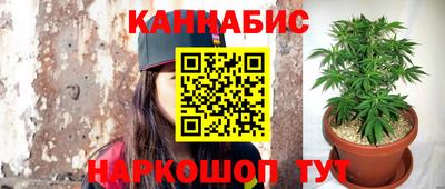 наркотики Ставрополь