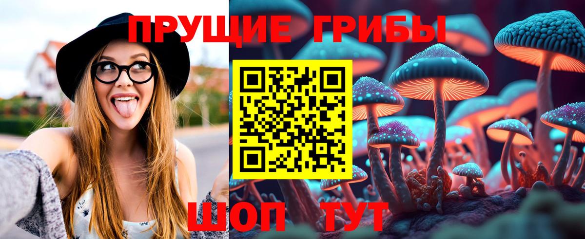 Псилоцибиновые грибы мицелий Прокопьевск